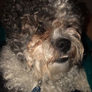 Meet your Posher, Jackie